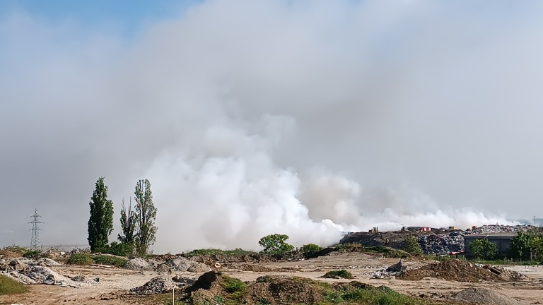 Foto: Zvezdan Veljković