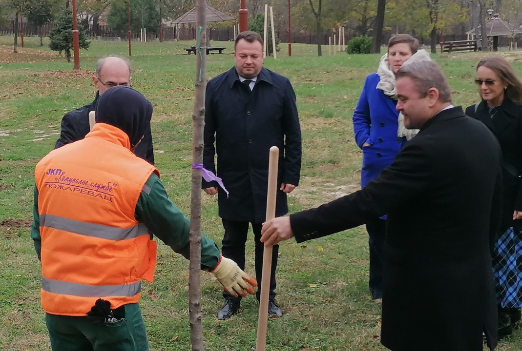 Foto/ T.Spasojević sadnja na Tulbi 
