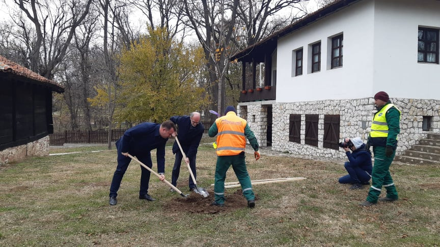 akcija sadnje Tulba