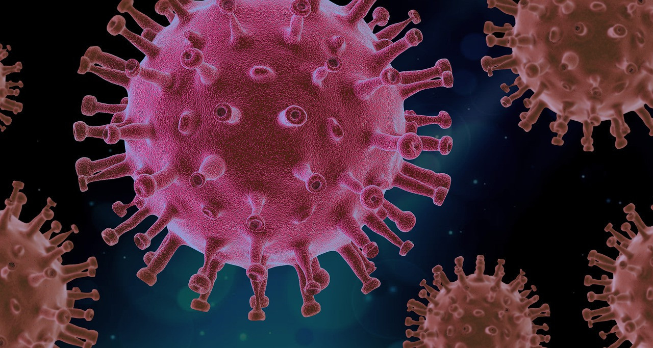 koronavirus
