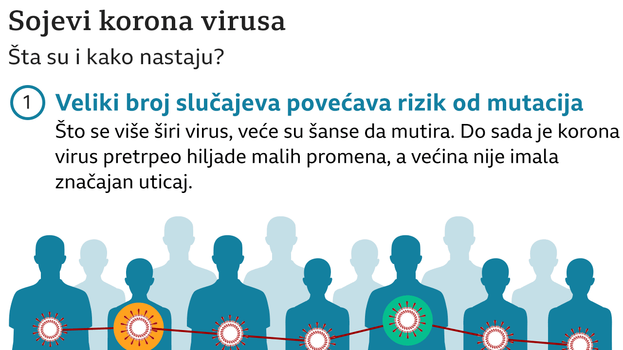 Kako se šire sojevi