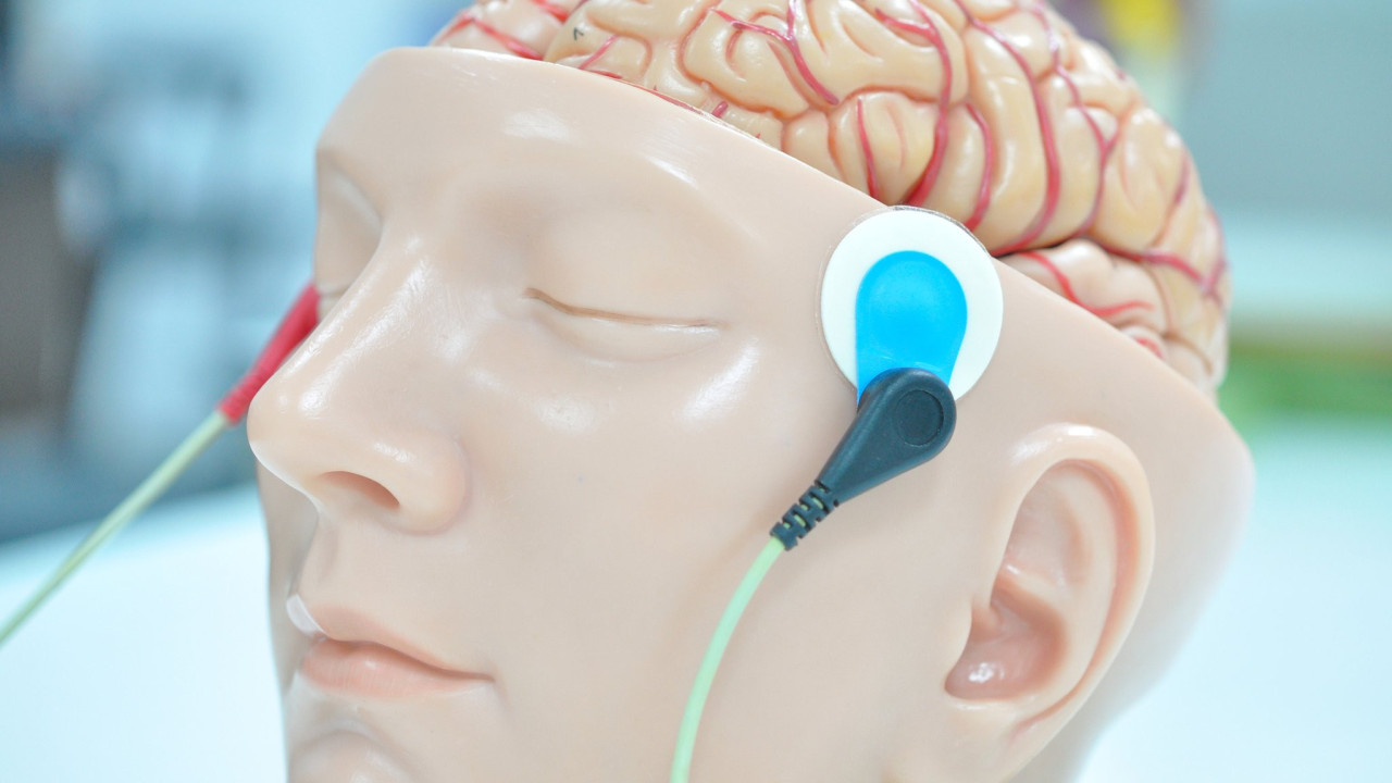 Replika mozga sa zakačenim elektrodama