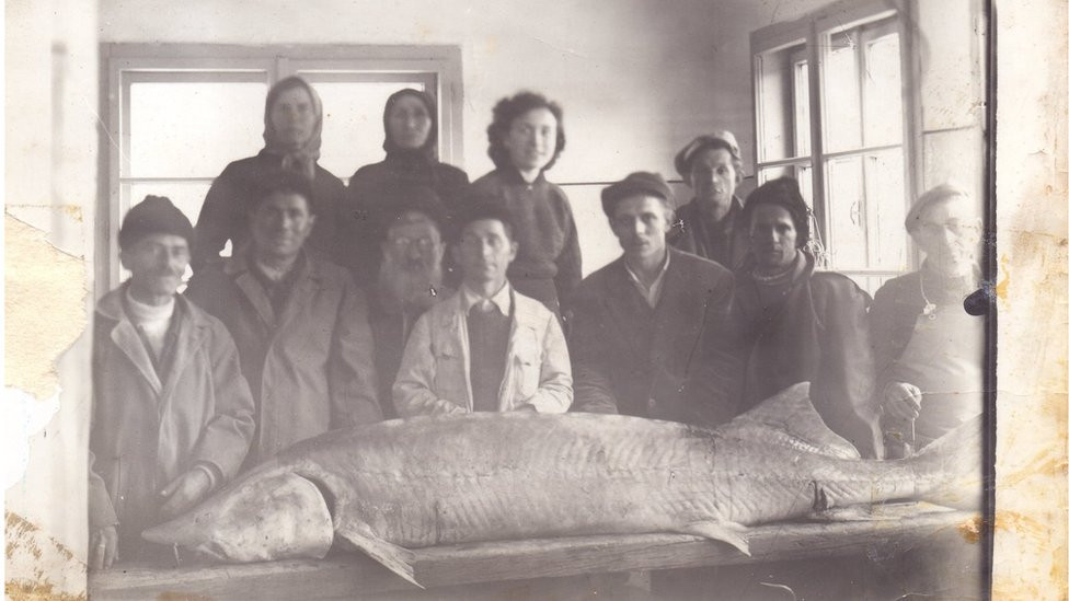 Moruna u Kladovu i Vjera Dejnega