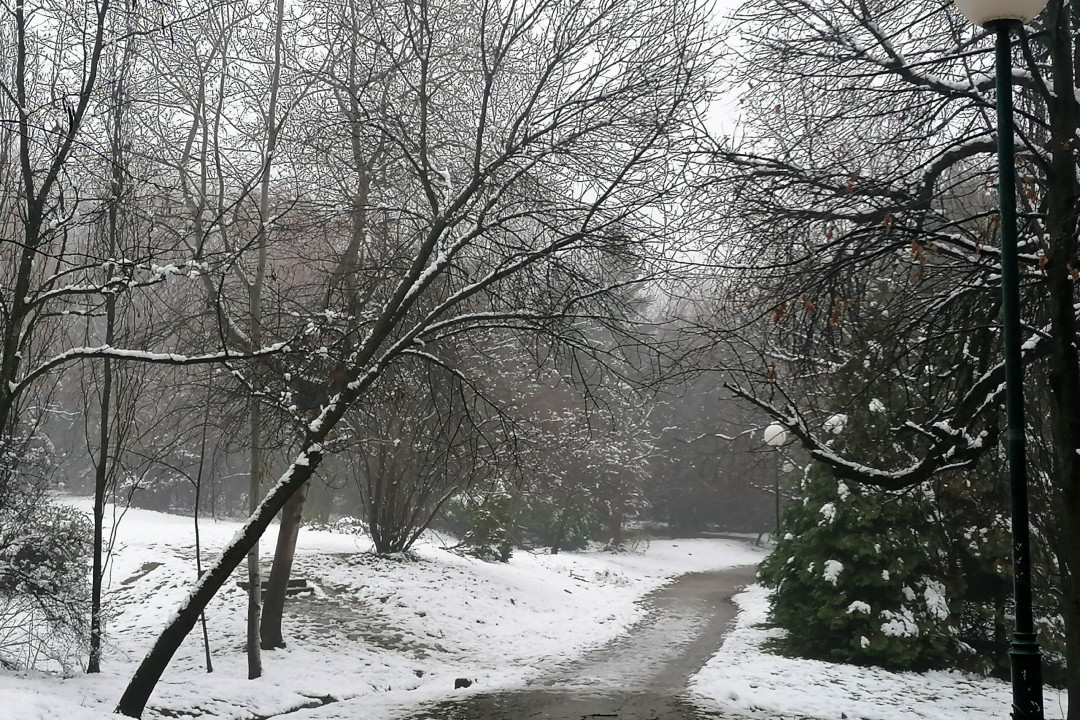 FOTO: T. Spasojević / Boom93