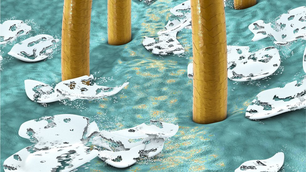 डैंड्रफ़