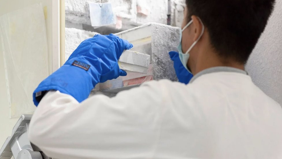 Duong's team member working in a laboratory