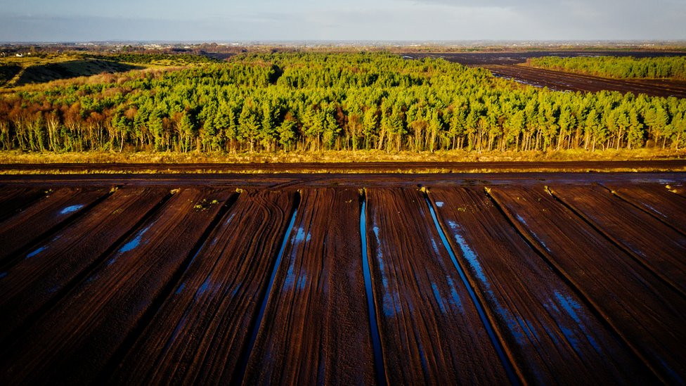 Many commercial peat bogs are being retired in Ireland