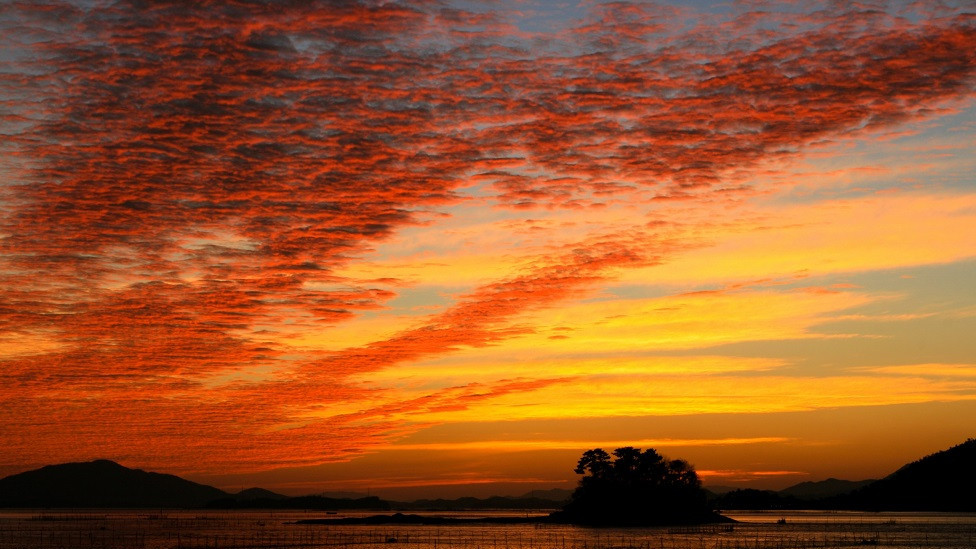 Coastal wetlands in South Korea