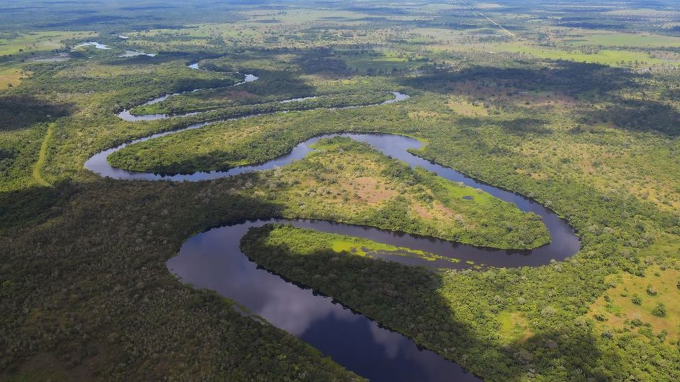 Pantanal
