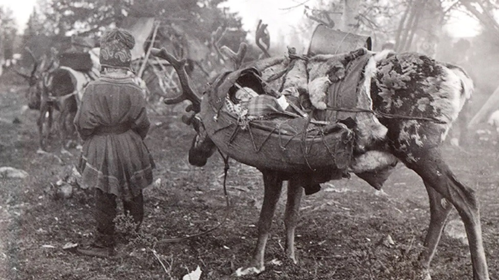 Laponske bebe i deca uče da budu fleksibilni u svojim navikama spavanja, kao na ovoj arhivskoj fotografiji iz 1930-ih