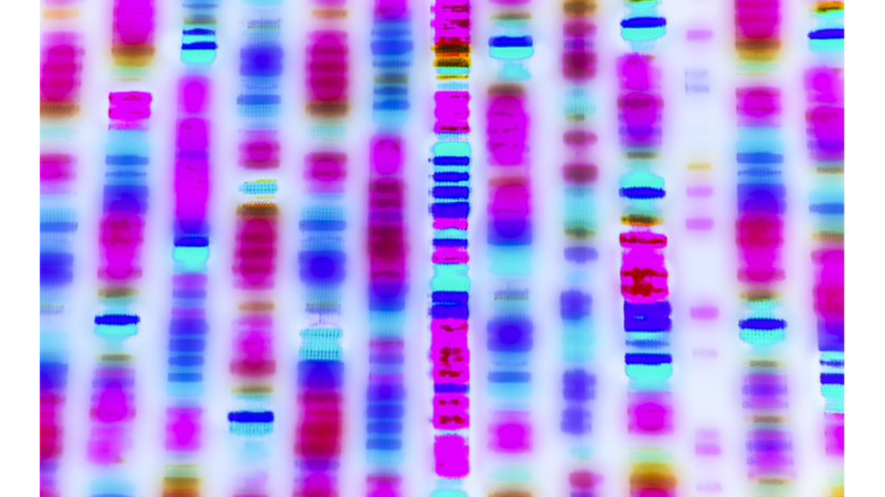 Illustration of a genome