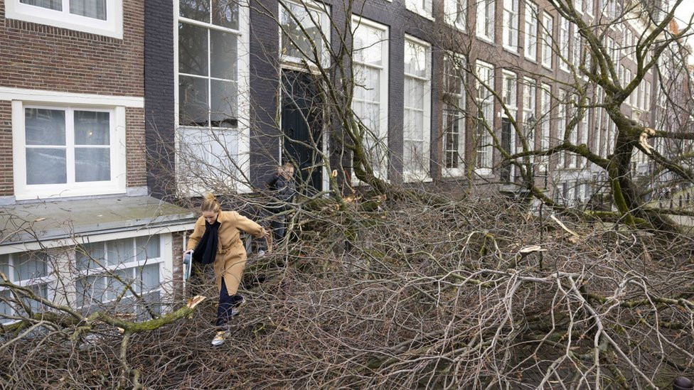 A woman steps through the branches of a fallen tree in Amsterdam