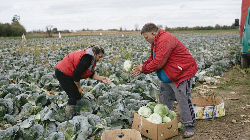 Deluje kao uigrana akcija sa košarkaških terena