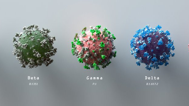 Sojevi korona virusa pod mikroskopom