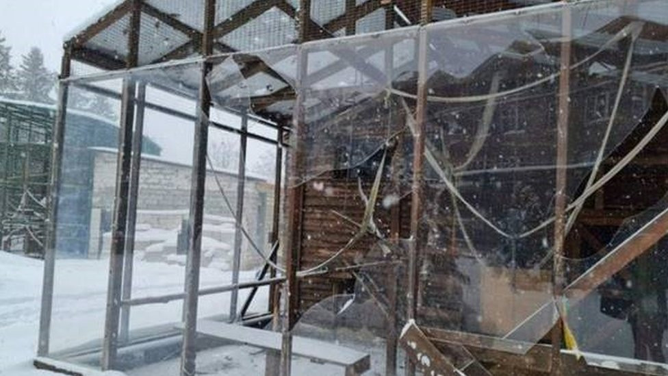 An ecopark close to Kharkiv in the north-east of Ukraine suffered from shelling