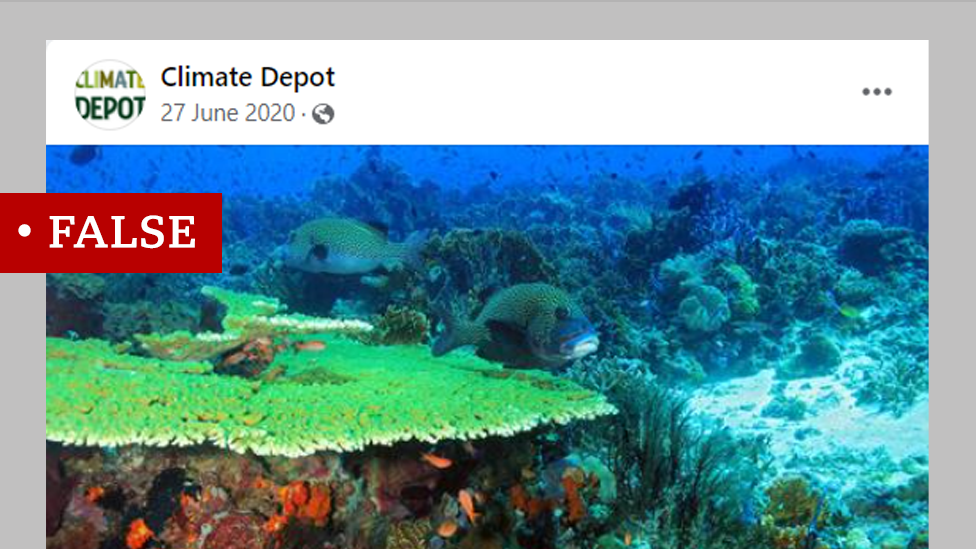Fotografija okeana uz netačnu tvrdnju da ugljen-dioksid nije štetan za životinje i biljke u okeanima