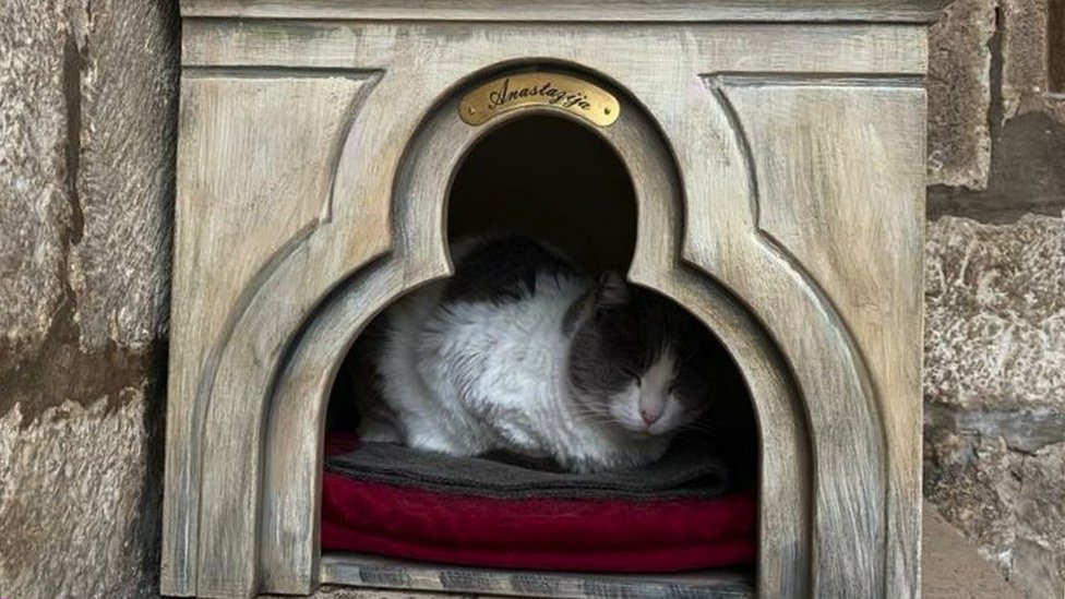 Anastazija u novoj kućici