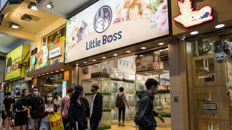 Shoppers walk outside a Little Boss store in Hong Kong, which sells hamsters and small mammals