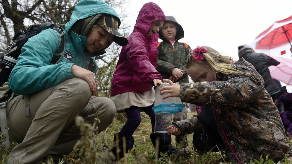 Đaci u prirodi, ekskurzija