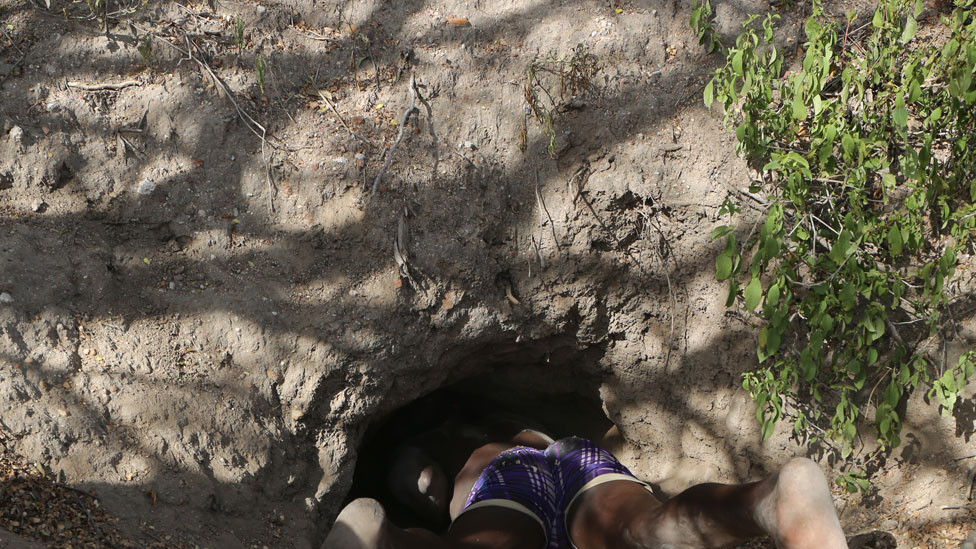 Zigwadzee heading down the porcupine hole