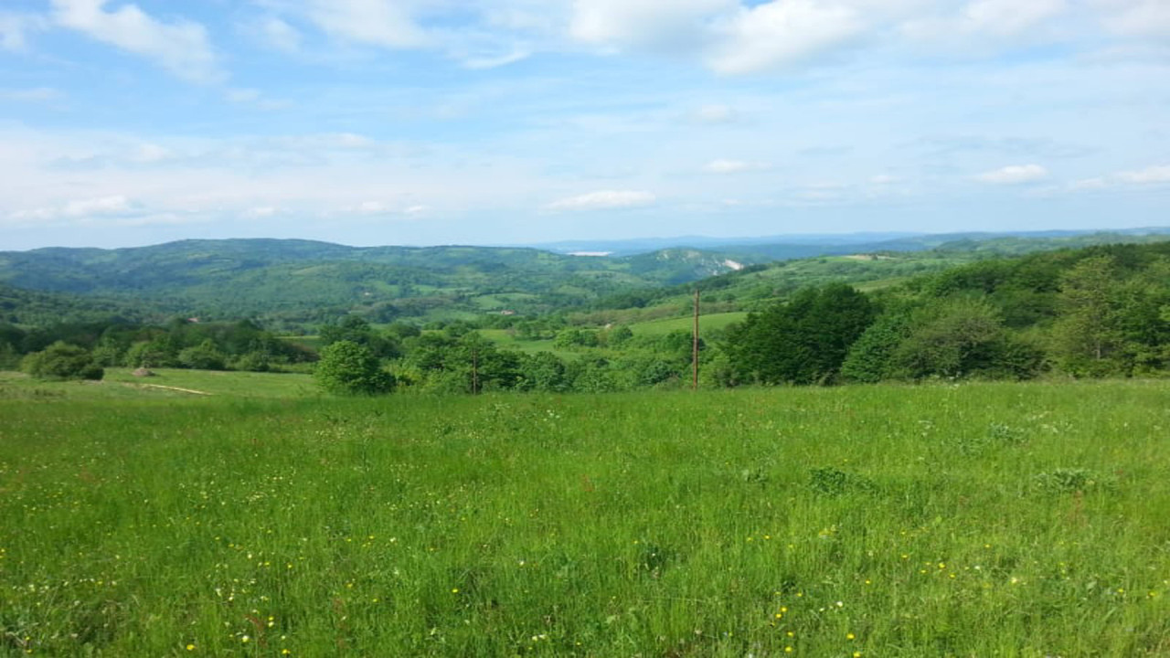 FOto. privatna arhiva
