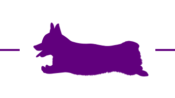 A graphic of a corgi