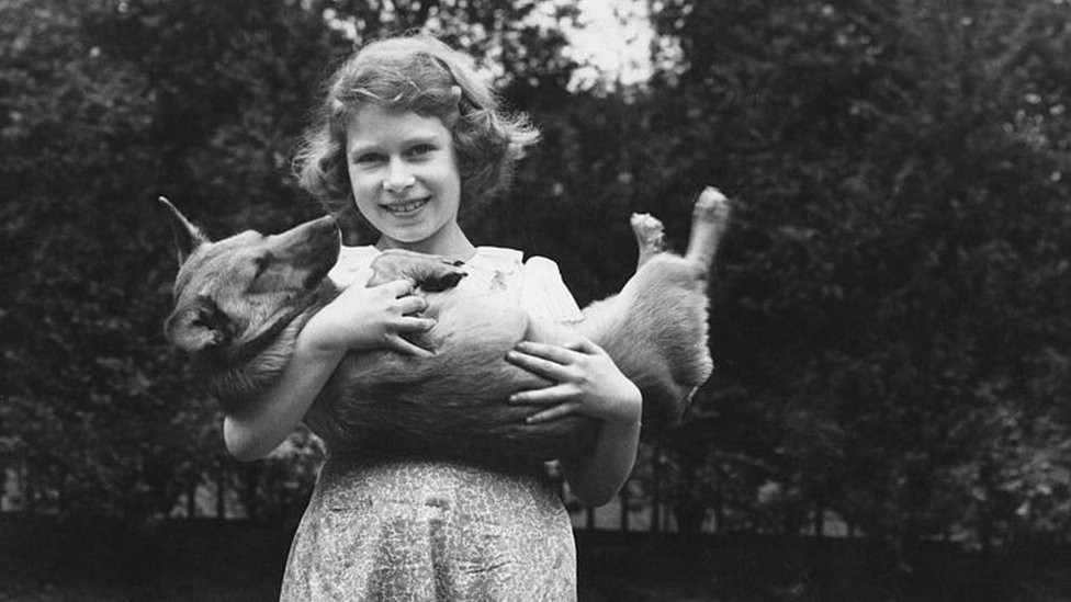 Princess Elizabeth, beaming in a dress and sandals aged about 10, cradles one Corgi while another stands at her feet.