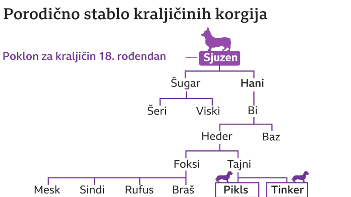 porodično stablo korgija