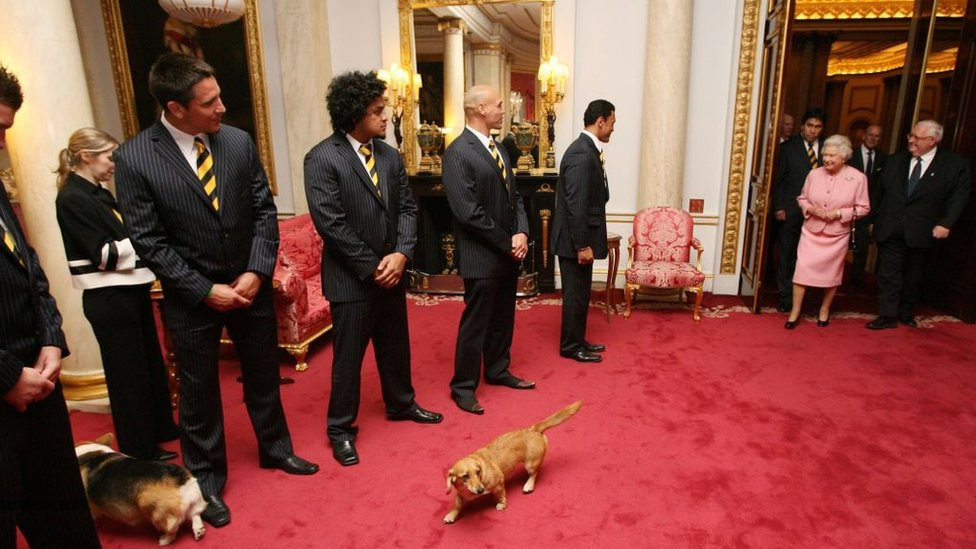 Princeza Elizabeta sa prvim korgijima - Duki i Džejn - u domu iz detinjstva na Pikadiliju, u Londonu, u julu 1936. godine