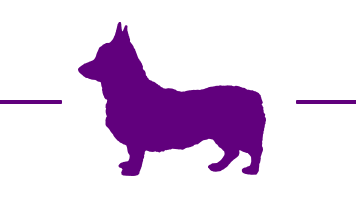 A graphic of a corgi