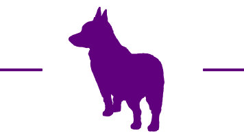 A graphic of a corgi