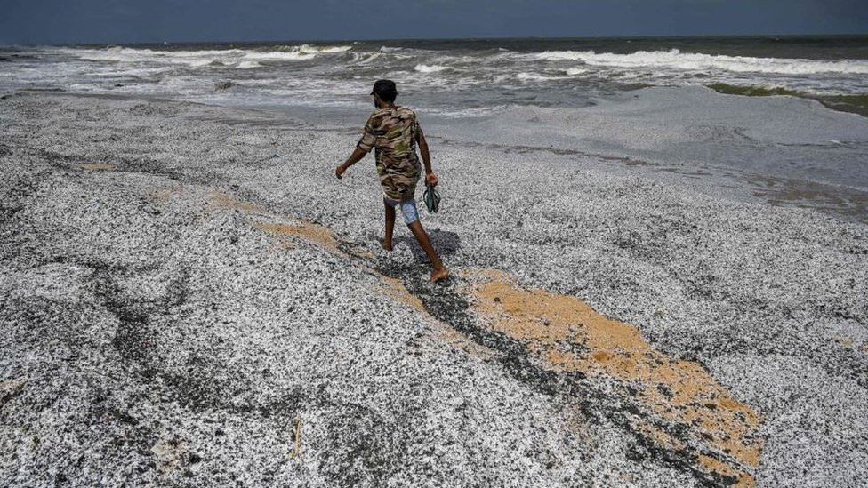 Coastline covered with debris