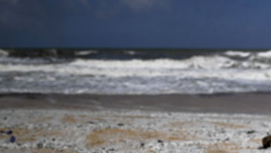 Dead fish in Sri Lanka