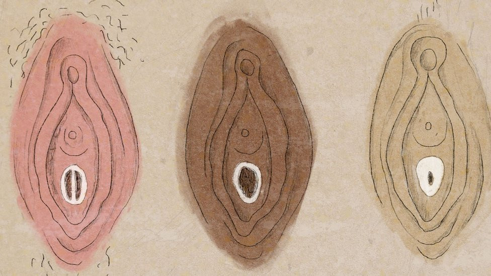 Illustration of vaginas