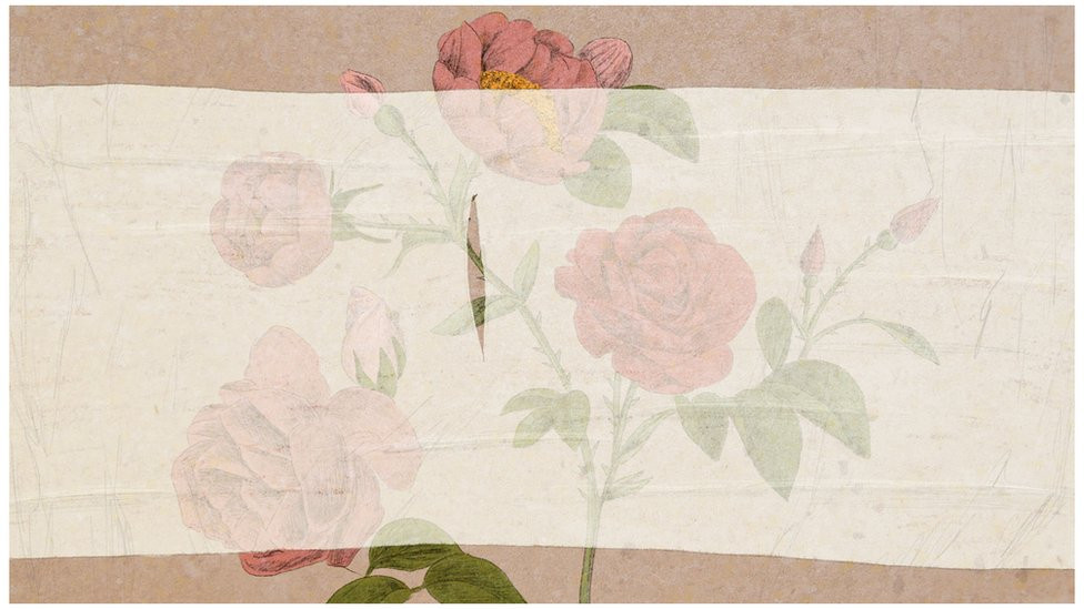 Illustration of roses with muslin over them