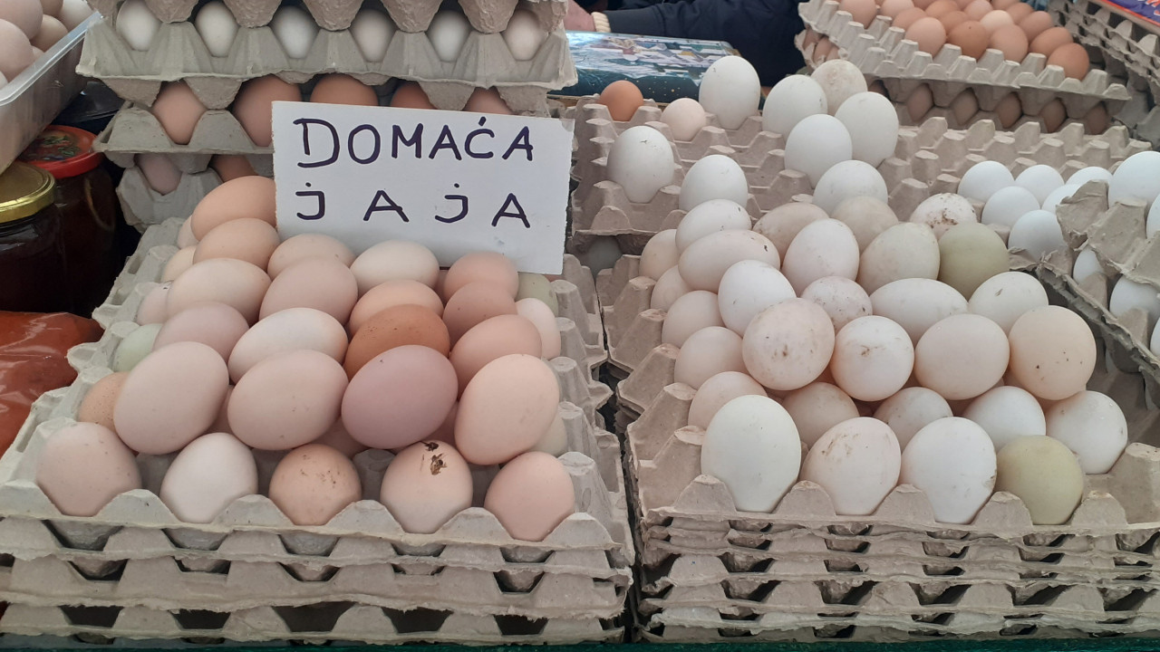 FOTO: N. Stojićević/Boom93
