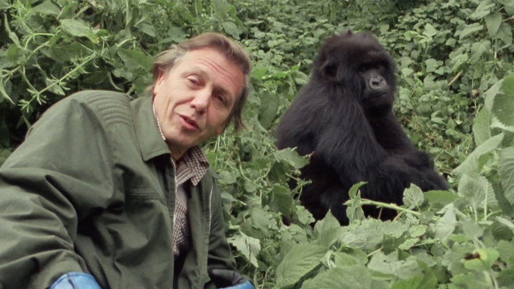 David Attenborough