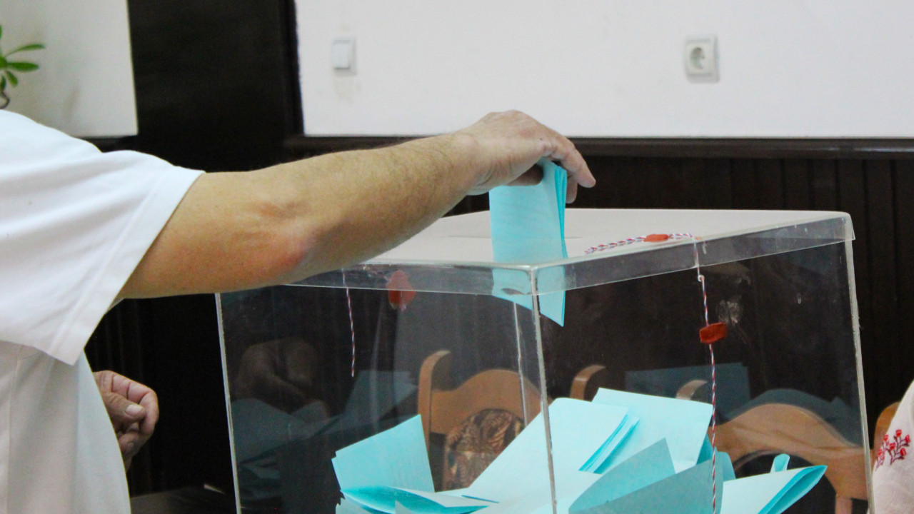 Foto:M.Veljković/Boom93