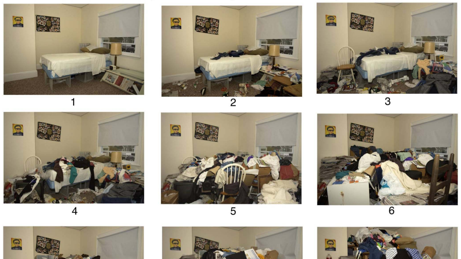 Fpotografije koje se koriste za procenu poremećaja gomilanja