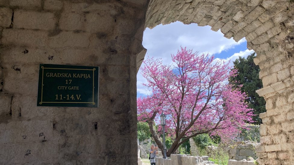 Nedaleko od Stare masline je dobro očuvani srednjevekovni grad Stari Bar