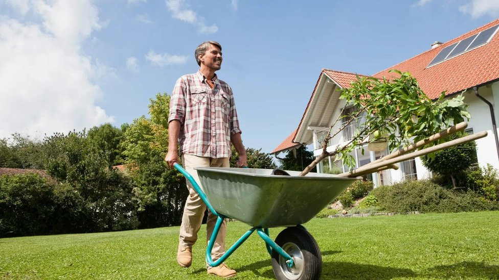 muškarac, baštovanstvo