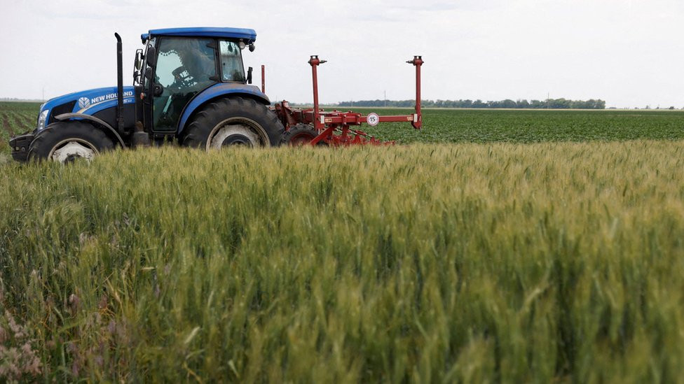Kombaйn v pole pod Nikolaevom