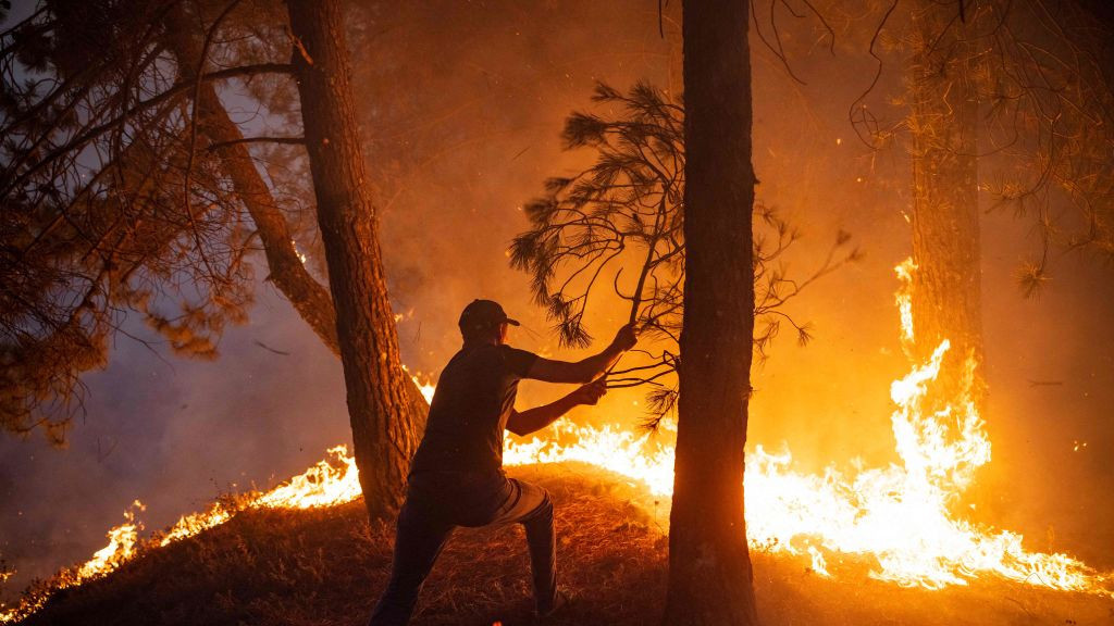 Čovek pokušava da ugasi šumski požar granom, severni Maroko, avgust 2021.