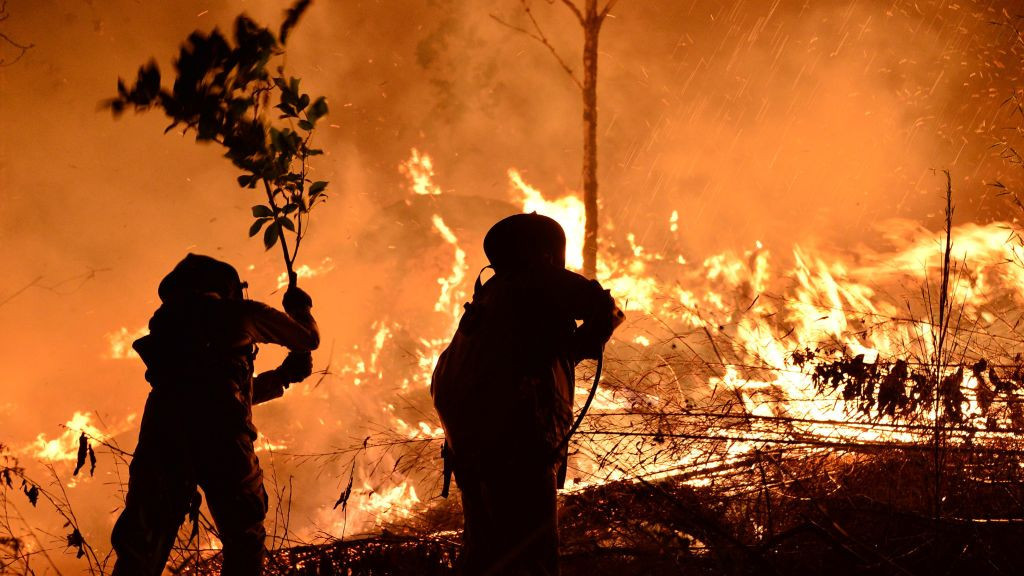 Vatrogasci u Hondurasu imaju specijalna odela, ali koriste i grane kako bi ugasili vatru (2019)
