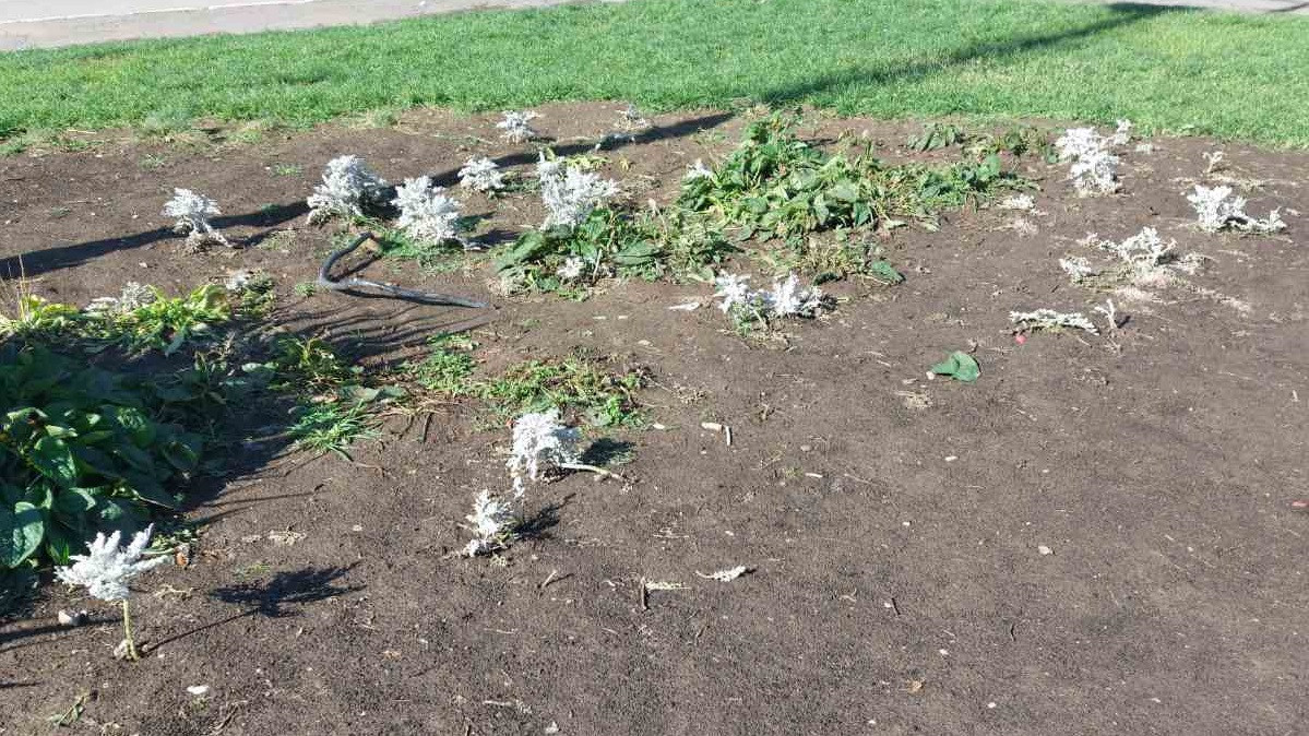 Komunalne službe apel