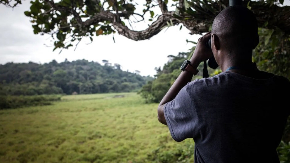 Unovčavanje „usluga ekosistema" koje pružaju slonovi moglo bi da podstakne očuvanje, ali kritičari postavljaju pitanje da li će to koristiti lokalnim zajednicama