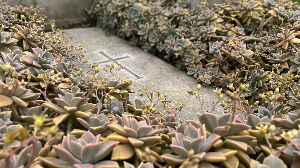 Grob Katarine Harlej danas