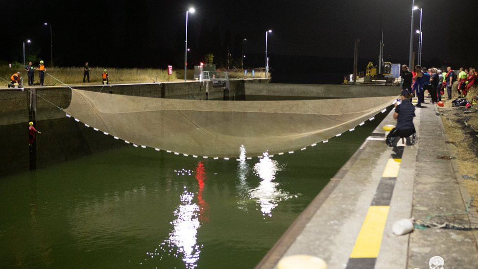 Operation in progress.