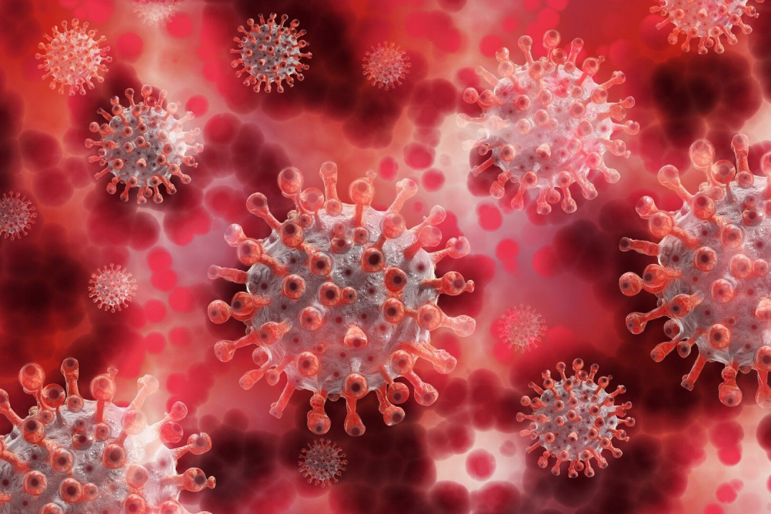 Foto: koronavirus ilustracija Pixabay
