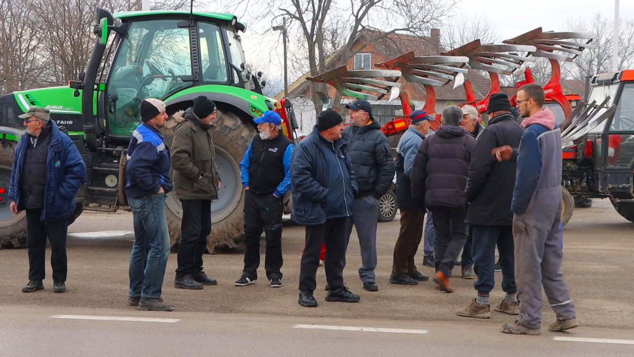 FOTO: M. Veljković/Boom93
